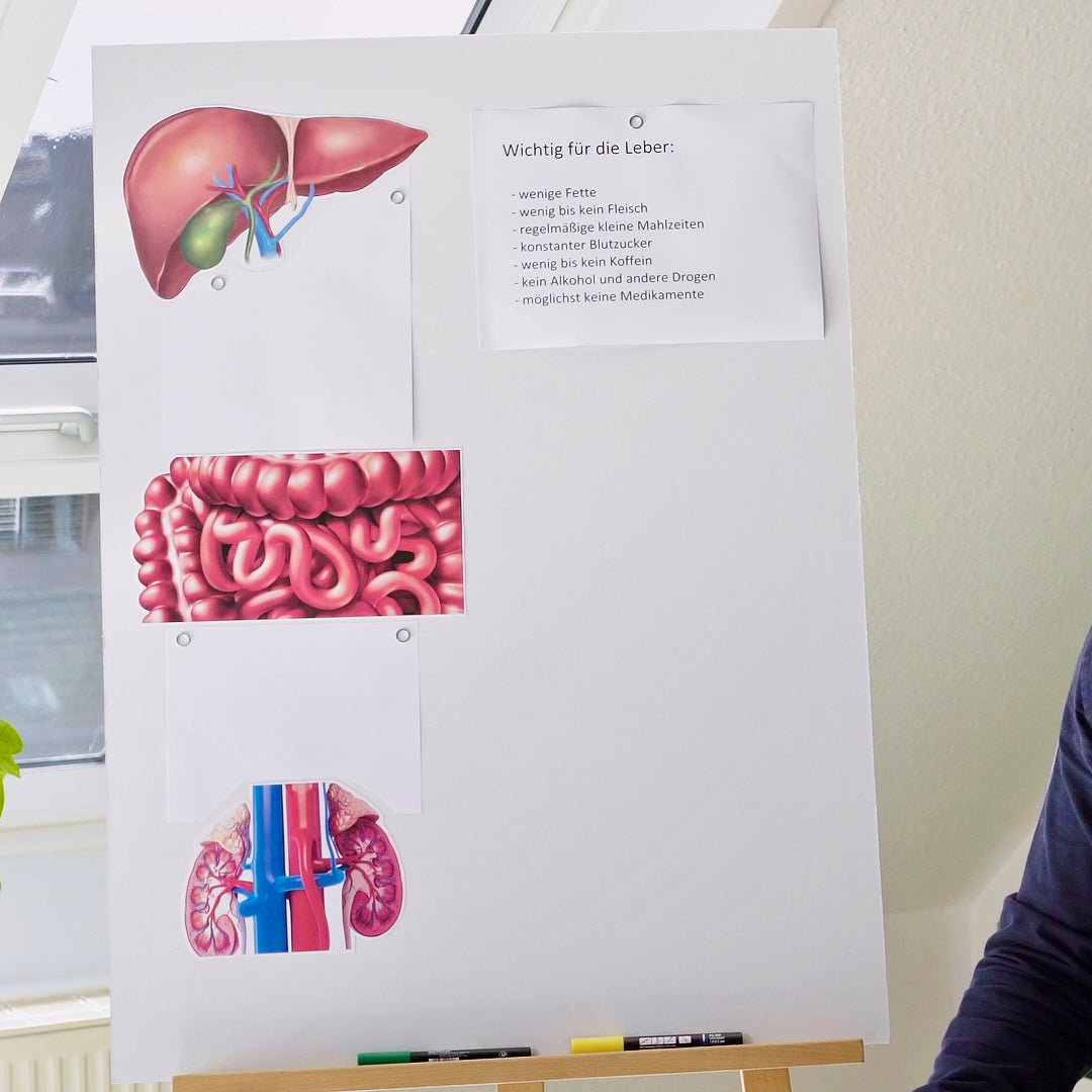 RAAV Nutri - Erstgespräch