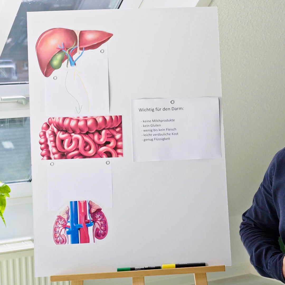 RAAV Nutri - Erstgespräch